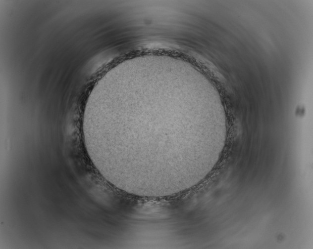 X0000102360824200808291223