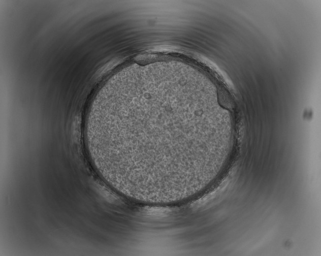 X0000102360825200808291223