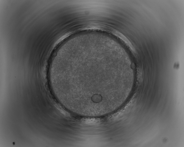 X0000102360826200808291223