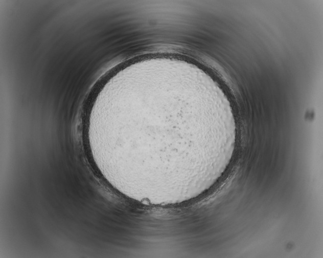 X0000102360827200808291223