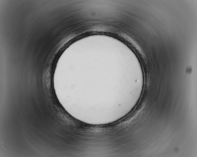 X0000102360829200808291223
