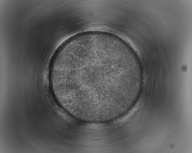 X0000102360830200808291223