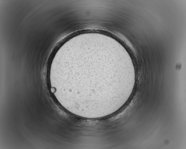 X0000102360831200808291223