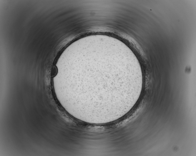 X0000102360833200808291223