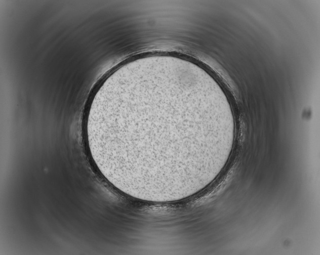 X0000102360834200808291223