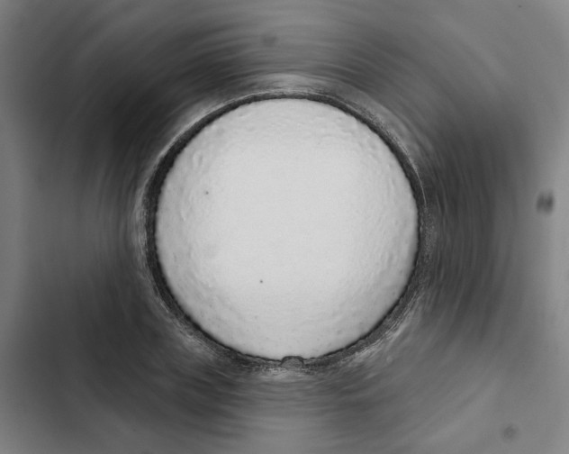 X0000102360835200808291223