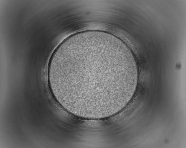 X0000102360836200808291223