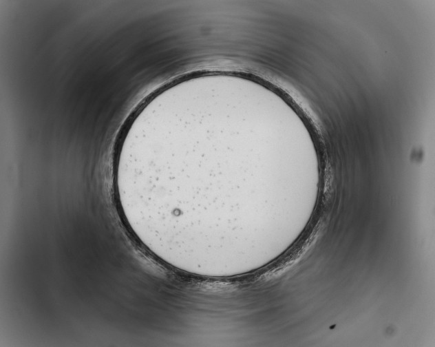 X0000102360837200808291223