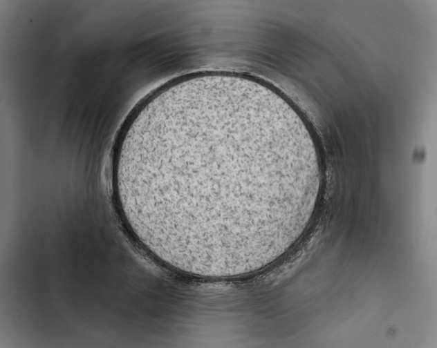 X0000102360838200808291223
