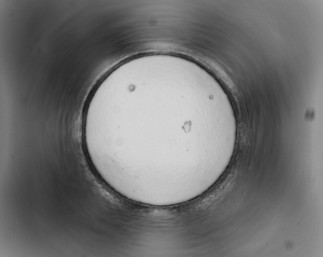 X0000102360839200808291223