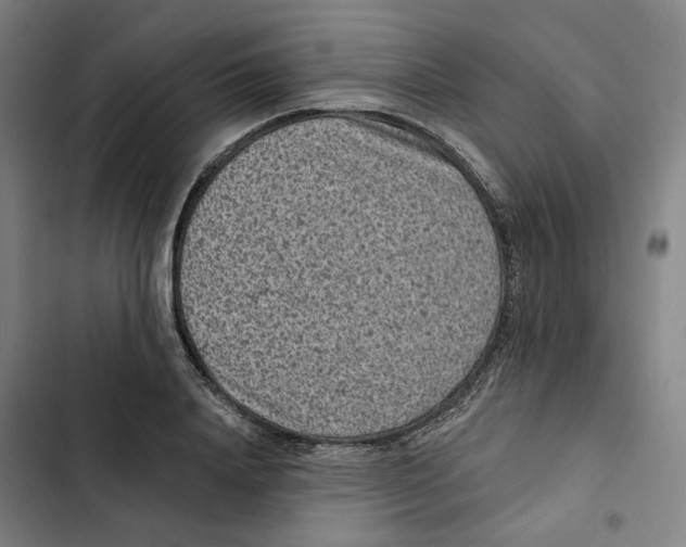 X0000102360840200808291223