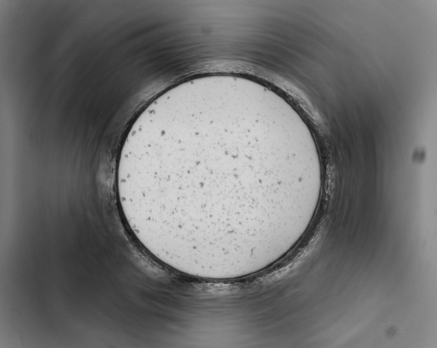 X0000102360841200808291223