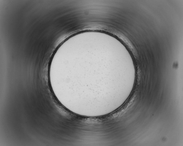X0000102360842200808291223