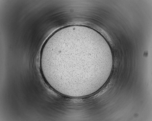 X0000102360844200808291223