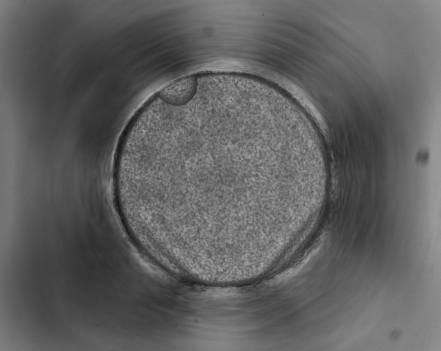 X0000102360845200808291223