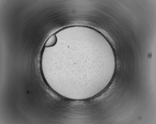 X0000102360846200808291223