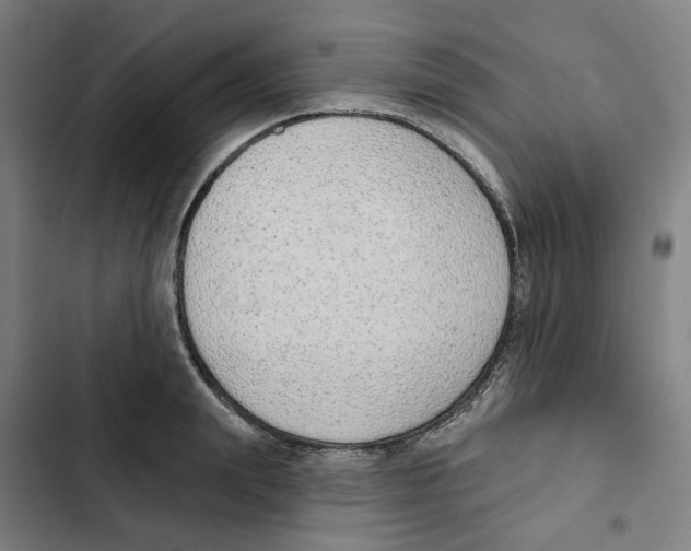 X0000102360847200808291223
