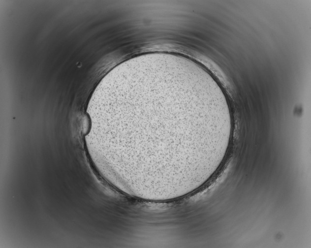 X0000102360849200808291223