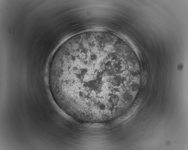 X0000102360851200808291223