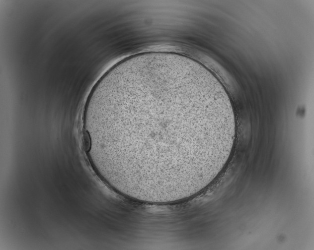 X0000102360852200808291223