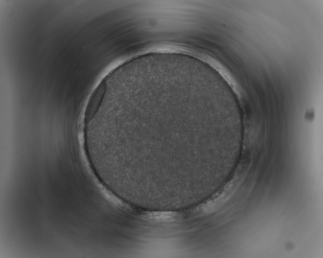X0000102360853200808291223