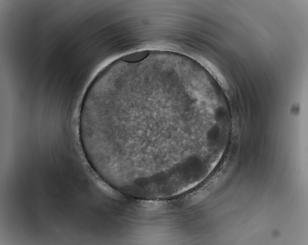 X0000102360854200808291223