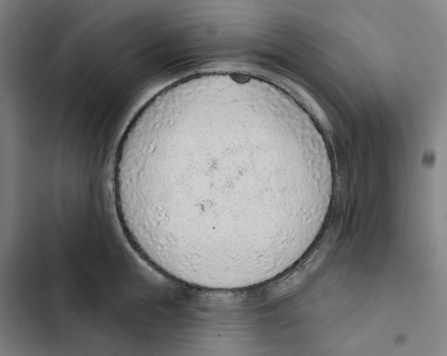 X0000102360855200808291223