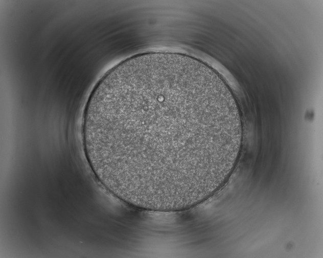 X0000102360856200808291223