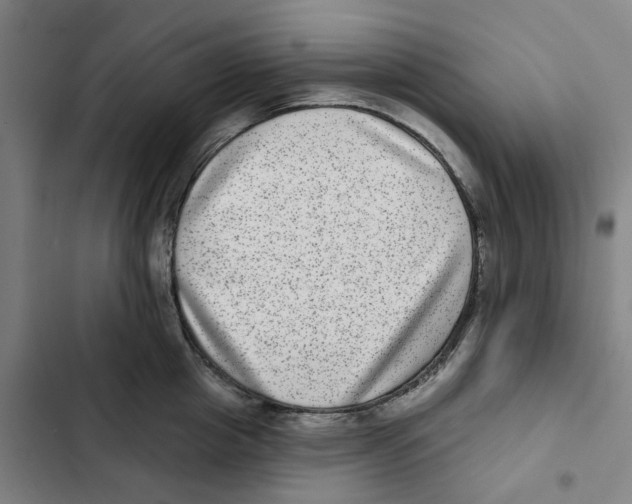 X0000102360857200808291223