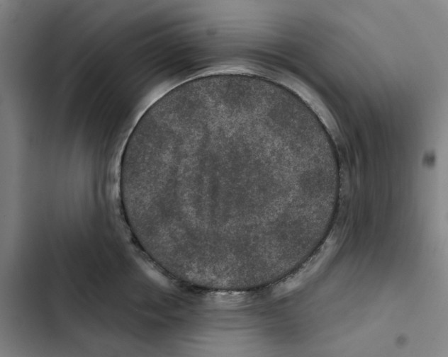 X0000102360858200808291223