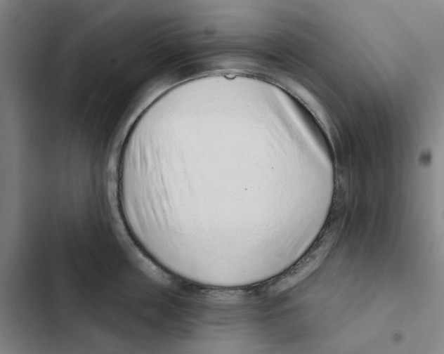 X0000102360859200808291224
