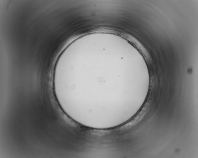 X0000102360860200808291224