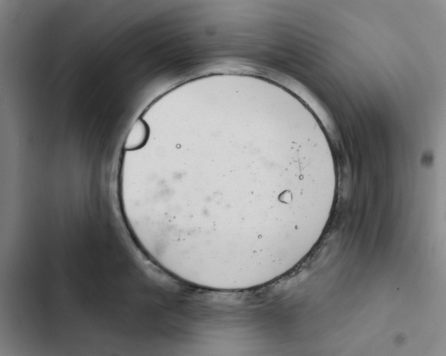 X0000102360861200808291224