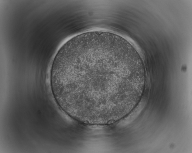 X0000102360862200808291224