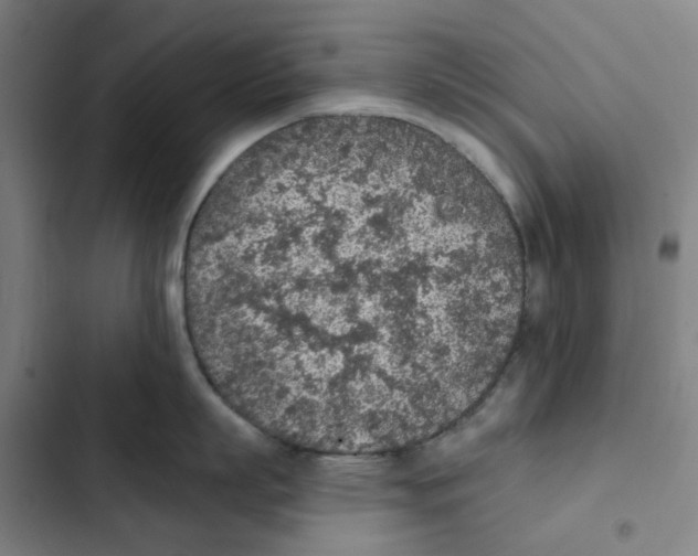 X0000102360863200808291224