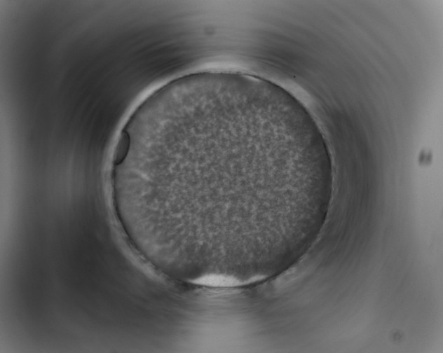 X0000102360864200808291224
