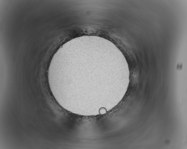 X0000102360865200808291223