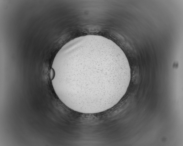 X0000102360866200808291223
