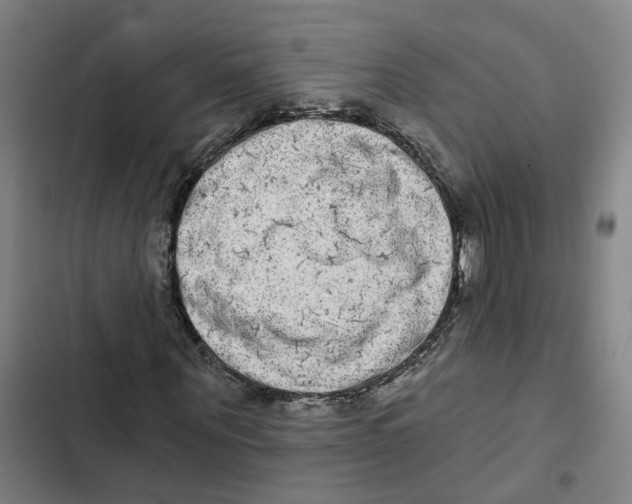X0000102360867200808291223
