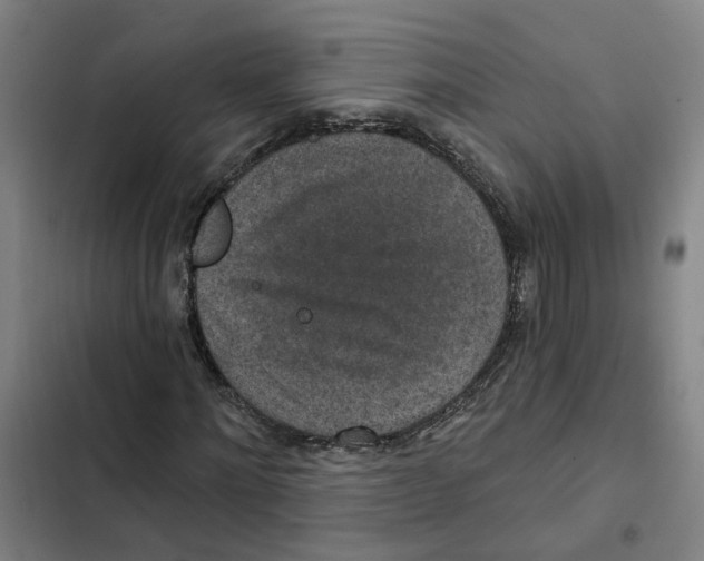 X0000102360868200808291223