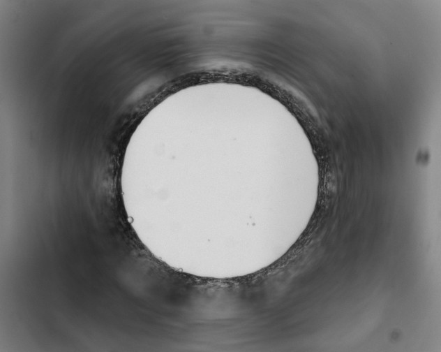 X0000102360869200808291223