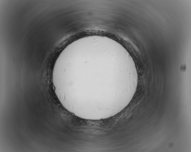 X0000102360870200808291223