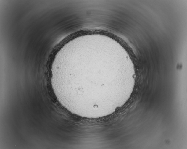 X0000102360871200808291223