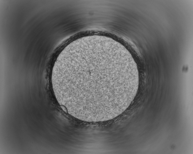 X0000102360872200808291223