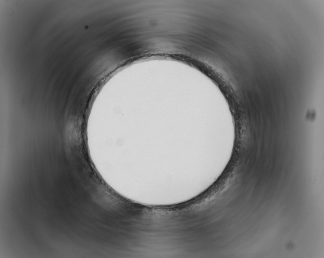 X0000102360873200808291223