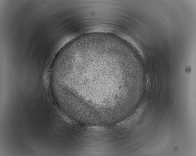 X0000102360874200808291223