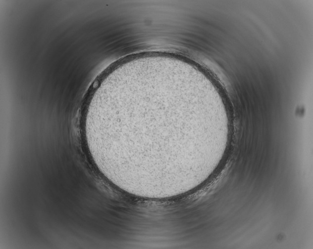 X0000102360875200808291223