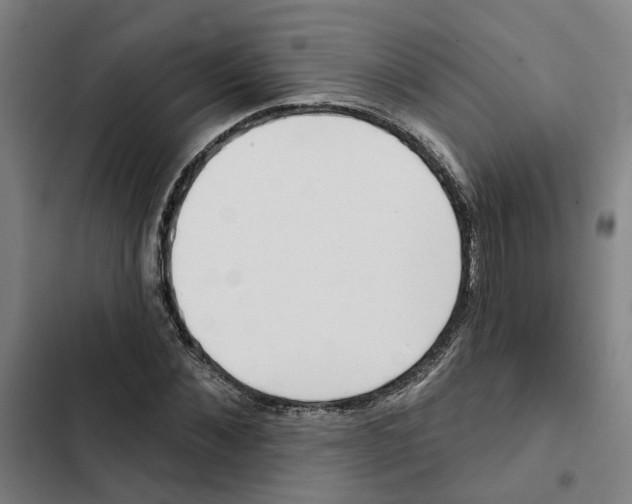 X0000102360876200808291223