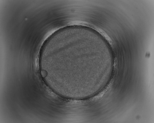 X0000102360877200808291223