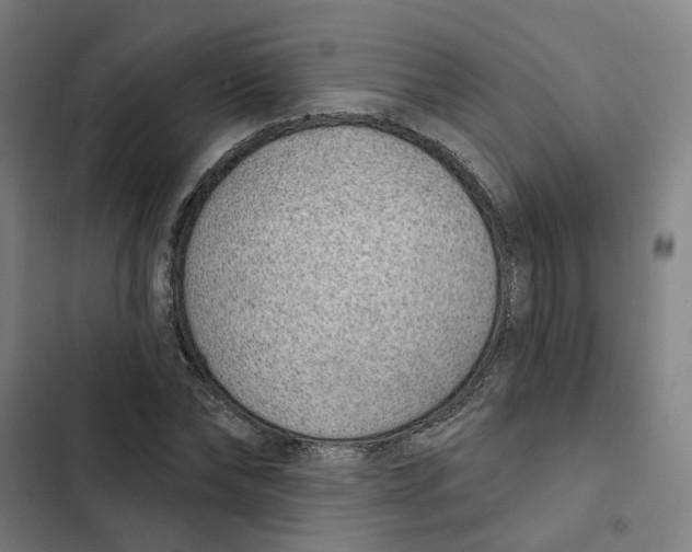 X0000102360878200808291223